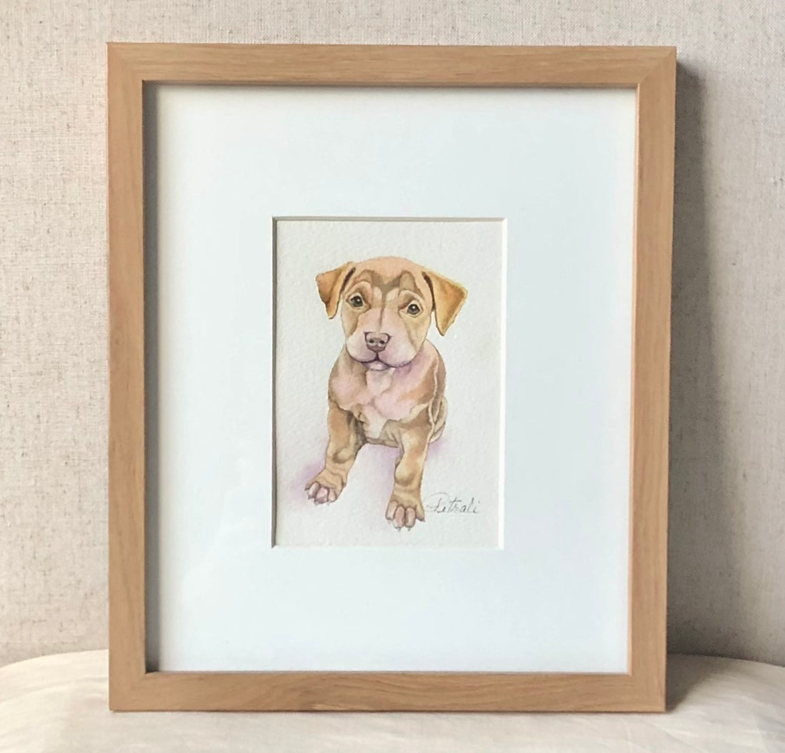Tan Puppy