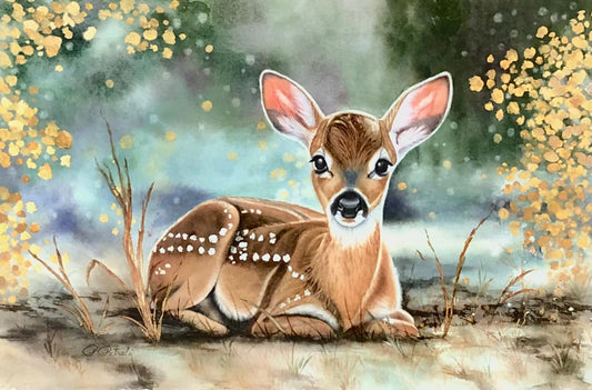 Resting Fawn