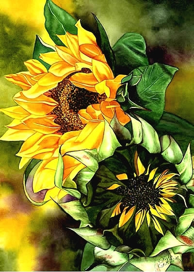 Summers Glory