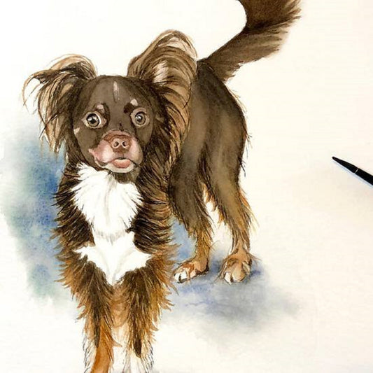 Mocha