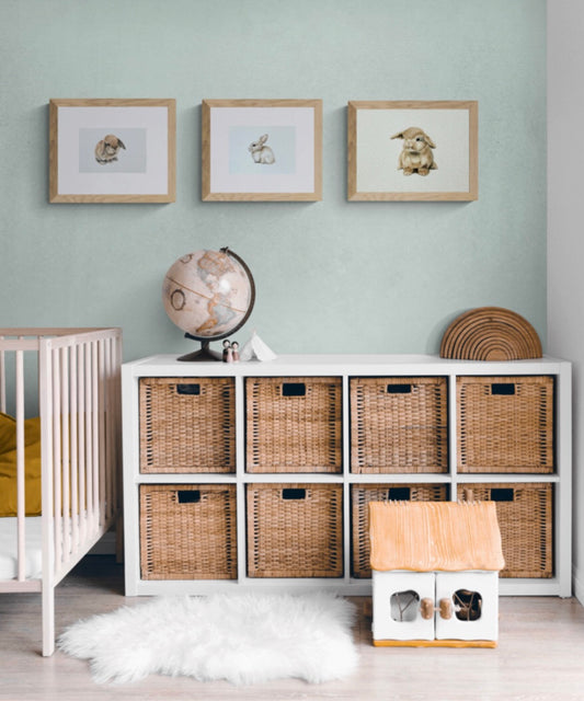 Baby Bunnies Set
