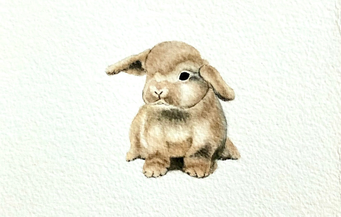 Baby Bunnies Set