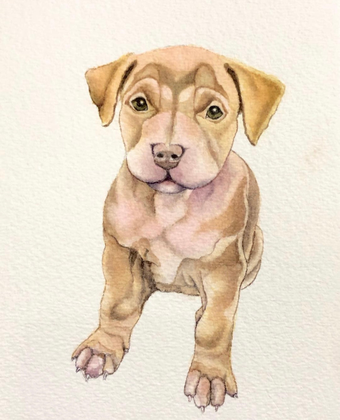 Tan Puppy