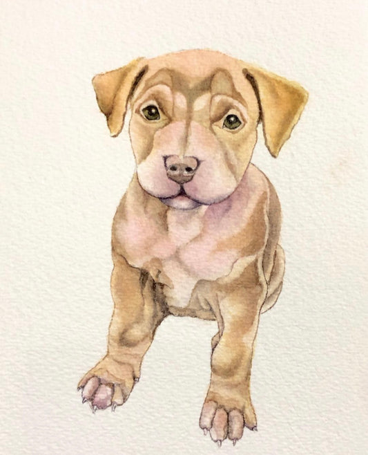 Tan Puppy