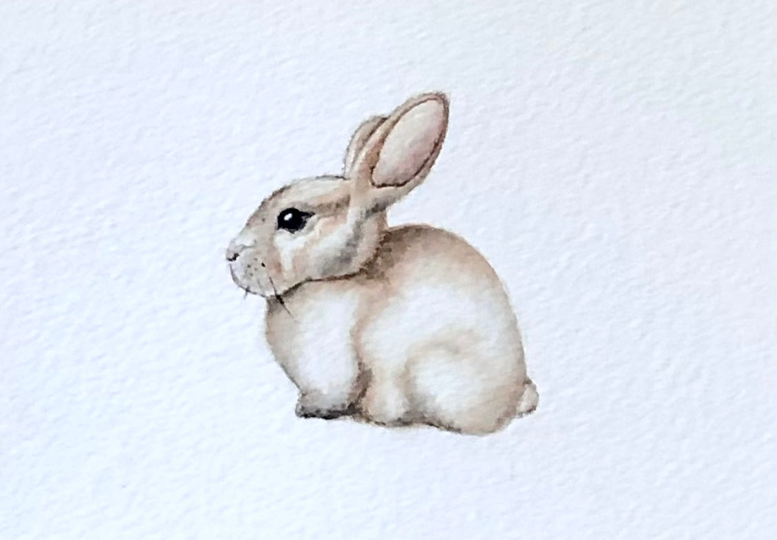 Baby Bunnies Set