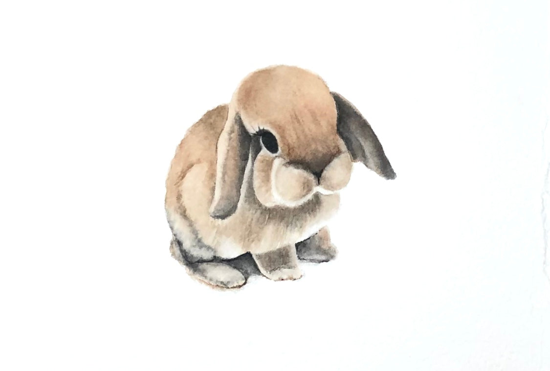 Baby Bunnies Set